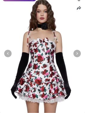 NWT Sugar Thrillz Scandal Sheet Taffeta Corset Mini Dress Rose Floral Large